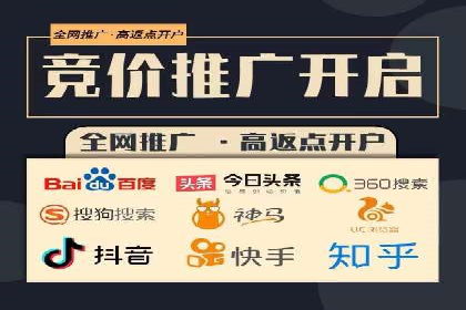 竞价排名成功案例分享